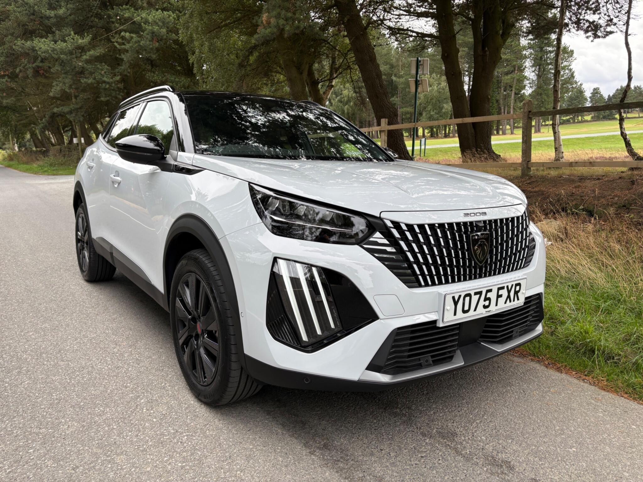 Peugeot 2008 listing photo